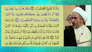 بیننده: اگر خدا برهان را مثل حضرت یوسف نشان من می داد من هم گناه نمیکردم!