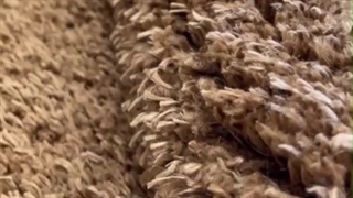 فرش شگی فلوکاتی، قهوه ای رنگ