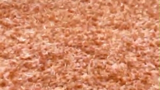 فرش شگی فلوکاتی، با رنگ نارنجی