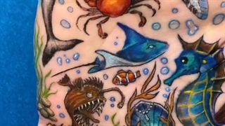 تتوی دستش تکمیل شد باوا =) امیر تتلو