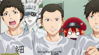 انیمه_سلول ها مشغول کار_Hataraku_Saibou_فصل2_قسمت3-2021_زیرنویس چسبیده