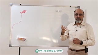 فعالیت اثر بخش سازمان های مردم نهاد در ایران