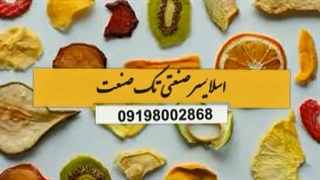 اسلایسر صنعتی / خشک کن میوه