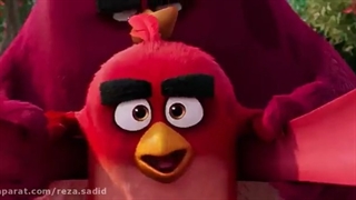 فیلم انگری بردز- angry birds