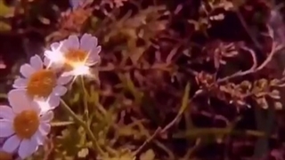 # چالش & تیک تاک & خفن