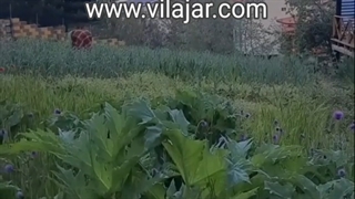 اجاره خانه سنتی جواهرده رامسر