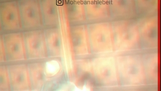 مداحی وحیدشکری.شهادت امام علی.استوری