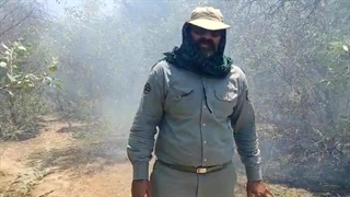 درخواست کمک محیط بانان برای مهار آتش در پارک ملی دز