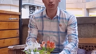 وردپرس یا سایت ساز