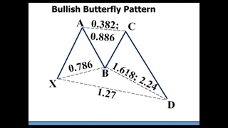 الگوی باترفلای "Butterfly" | وبسایت حسین عظیمی