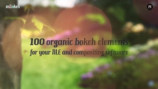 دانلود فوتیج بوکه MotionVFX – mBokeh 2K
