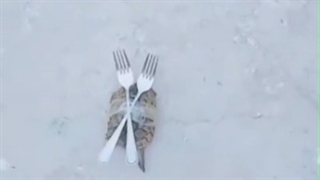 لاکپشتهای نینجاXDDDDD❤