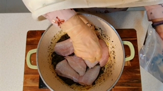 هواری ماهی کفشک- ماهی خان