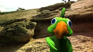 فندق میخواهد بداند زمین از چه ساخته شده است؟