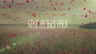 گل رز فوتیج