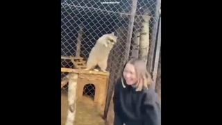 راسوی دلی ^-^