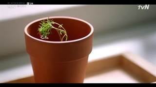 قسمت 12 ویرانگر در خدمتگزاری شما حاضر است + زیرنویس فارسی