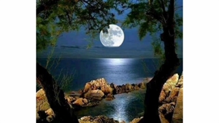 ترانه:یه پرنده ای که از پرواز خستس