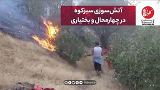 آتش سوزی سبزکوه در چهار محال و بختیاری