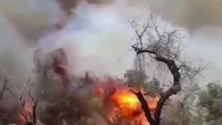 وقوع ۳۰ مورد آتش سوزی در حدود چهل روز گذشته