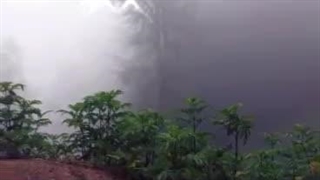 اومدیم جنگل ابر :-|