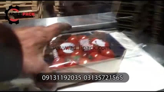 دستگاه بسته بندی گوجه گیلاسی