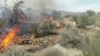 آتش سوزی در کوهنجان و تلاش برای اطفای حریق