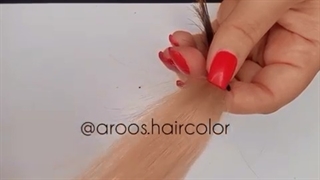 ترکیب رنگ مو دودی شامپاینی