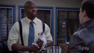 broklyn 99 season 3 ep 19