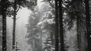 Empyrium - Fossegrim موزیک