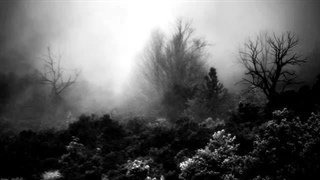 Total Death - Por siempre temor موزیک