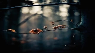 Sangre De Muerdago - O Nome Do Vento موزیک