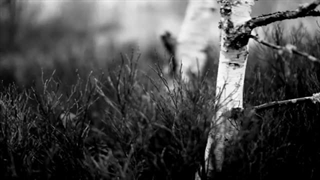 Uaral - The Writing And The Cry موزیک