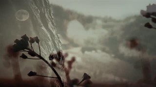 Sangre De Muerdago - Botadas Dos Bosques موزیک