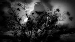 When Nothing Remains - A Ravens Tale موزیک