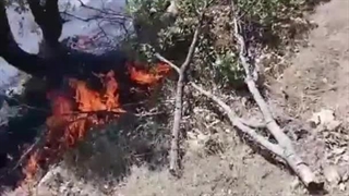 آتش سوزی دالاهو و مهار آتش به کمک افراد محلی