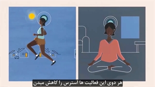 تاثیر استرس بر مغز