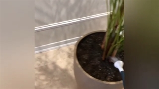 اینم عضو جدید مطب