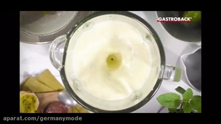 مخلوط کن گاستروبک آلمان Gastroback Mixer 40898 در سایت جرمنی مد