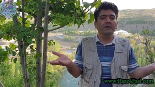 چگونه در میکده این عالم، جام شراب عشق خود را پُر کنیم ؟