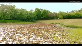 قسمت هشتم سریال مال من + زیرنویس فارسی