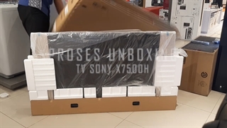 تلویزیون 55 اینچ X7500H در تک باش