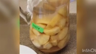 تهیه سرکه سیب