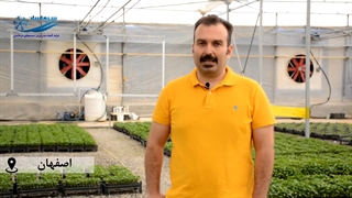 پیشرفته‌ترین سیستم سرمایشی گلخانه در اصفهان