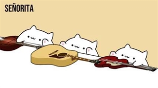 کلیپ آهنگ زدن گربه ی ناز قسمت۴