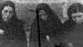 عکس هایی از Graciela Iturbide - Photography گراسیلا ایتوربیده