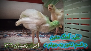 دموی بازخوانی آهنگ معین « قسم نخور به جونم »