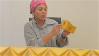 واژینوپلاستی