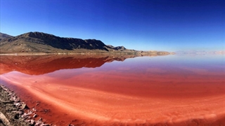 دریاچه قرمز مهارلو | شیراز