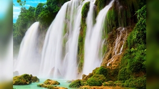 دمو از پلی بک گل مهتاب عارف